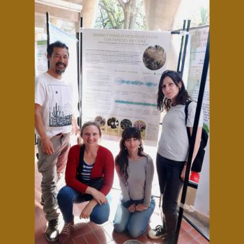 Premio al mejor poster presentado por docentes