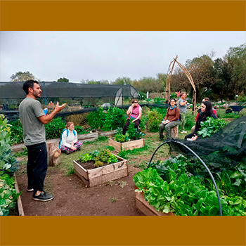 “Hagamos Huerta” reeditó el Taller 1 en el marco de “Eco-Huerta Manos Verdes”