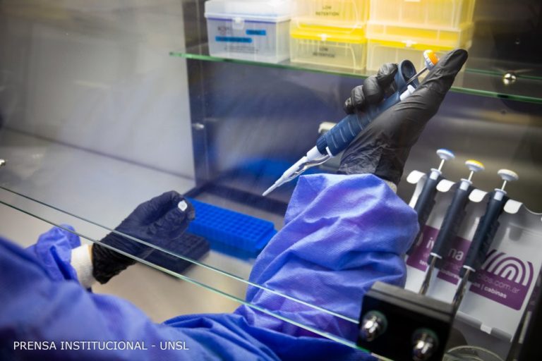 Convocan a docentes investigadores a becas de actualización y perfeccionamiento