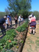 Se realizó el Tercer Encuentro del Taller Hagamos Huerta
