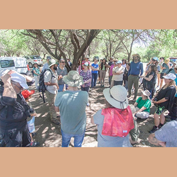 El PITSA invita a postular a la Convocatoria de Pasantías 2026