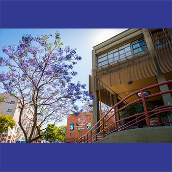 La UNSL consolida su política científica con 240 Proyectos de Investigación aprobados